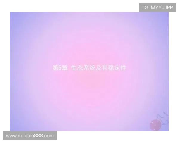 BBIN平台官网的技术支持与系统稳定性分析