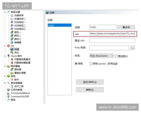 BBIN登陆页面常见错误及排查技巧详解